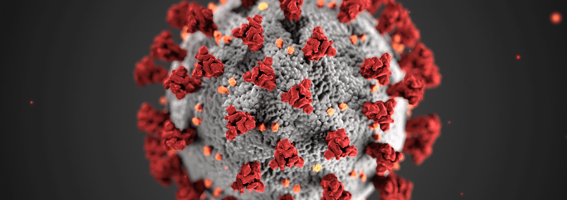 NGCF Establishes Coronavirus Relief Fund - North Georgia Community